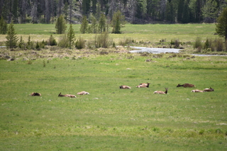 Filename=DSC_6259.JPG
Filesize=20793KiB
Dimensions=7360x4912
Date added=Sep 19, 2019 DSC_6259.JPG