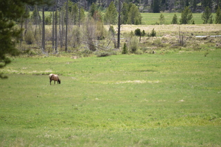 Filename=DSC_6260.JPG
Filesize=20219KiB
Dimensions=7360x4912
Date added=Sep 19, 2019 DSC_6260.JPG