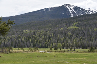 Filename=DSC_6261.JPG
Filesize=22044KiB
Dimensions=7360x4912
Date added=Sep 19, 2019 DSC_6261.JPG