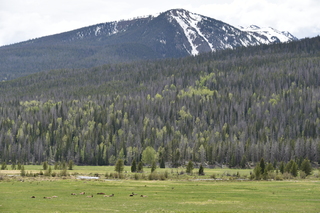 Filename=DSC_6262.JPG
Filesize=21852KiB
Dimensions=7360x4912
Date added=Sep 19, 2019 DSC_6262.JPG