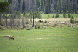 Filename=DSC_6263.JPG
Filesize=21170KiB
Dimensions=7360x4912
Date added=Sep 19, 2019 DSC_6263.JPG