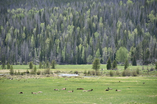 Filename=DSC_6266.JPG
Filesize=22888KiB
Dimensions=7360x4912
Date added=Sep 19, 2019 DSC_6266.JPG