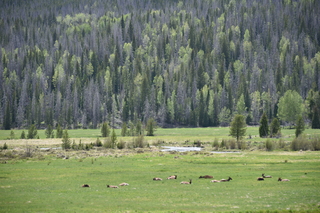 Filename=DSC_6267.JPG
Filesize=23350KiB
Dimensions=7360x4912
Date added=Sep 19, 2019 DSC_6267.JPG