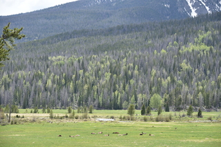 Filename=DSC_6268.JPG
Filesize=23502KiB
Dimensions=7360x4912
Date added=Sep 19, 2019 DSC_6268.JPG