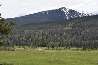 Filename=DSC_6269.JPG
Filesize=21130KiB
Dimensions=7360x4912
Date added=Sep 19, 2019 DSC_6269.JPG