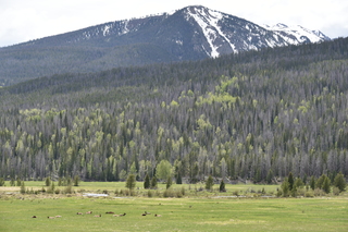 Filename=DSC_6270.JPG
Filesize=22397KiB
Dimensions=7360x4912
Date added=Sep 19, 2019 DSC_6270.JPG