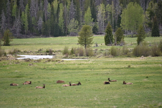 Filename=DSC_6272.JPG
Filesize=19582KiB
Dimensions=7360x4912
Date added=Sep 19, 2019 DSC_6272.JPG