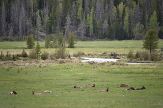 Filename=DSC_6274.JPG
Filesize=19691KiB
Dimensions=7360x4912
Date added=Sep 19, 2019 DSC_6274.JPG