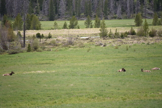 Filename=DSC_6275.JPG
Filesize=19796KiB
Dimensions=7360x4912
Date added=Sep 19, 2019 DSC_6275.JPG