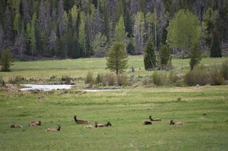 Filename=DSC_6277.JPG
Filesize=19733KiB
Dimensions=7360x4912
Date added=Sep 19, 2019 DSC_6277.JPG