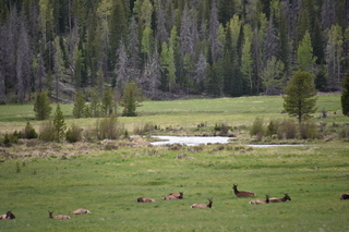 Filename=DSC_6278.JPG
Filesize=19633KiB
Dimensions=7360x4912
Date added=Sep 19, 2019 DSC_6278.JPG