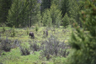 Filename=DSC_6281.JPG
Filesize=21840KiB
Dimensions=7360x4912
Date added=Sep 19, 2019 DSC_6281.JPG