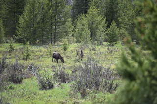 Filename=DSC_6282.JPG
Filesize=22127KiB
Dimensions=7360x4912
Date added=Sep 19, 2019 DSC_6282.JPG