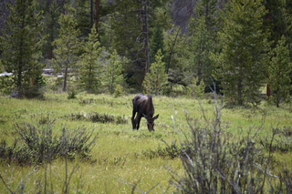 Filename=DSC_6284.JPG
Filesize=21034KiB
Dimensions=7360x4912
Date added=Sep 19, 2019 DSC_6284.JPG