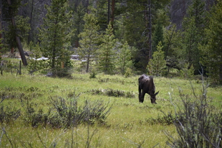 Filename=DSC_6285.JPG
Filesize=20946KiB
Dimensions=7360x4912
Date added=Sep 19, 2019 DSC_6285.JPG