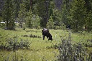 Filename=DSC_6286.JPG
Filesize=21149KiB
Dimensions=7360x4912
Date added=Sep 19, 2019 DSC_6286.JPG