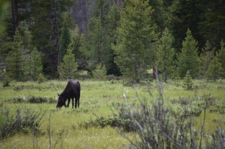 Filename=DSC_6287.JPG
Filesize=20227KiB
Dimensions=7360x4912
Date added=Sep 19, 2019 DSC_6287.JPG