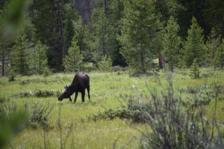 Filename=DSC_6290.JPG
Filesize=20373KiB
Dimensions=7360x4912
Date added=Sep 19, 2019 DSC_6290.JPG