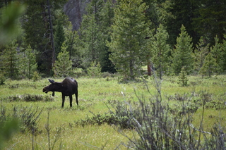 Filename=DSC_6293.JPG
Filesize=20814KiB
Dimensions=7360x4912
Date added=Sep 19, 2019 DSC_6293.JPG