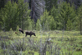 Filename=DSC_6295.JPG
Filesize=22438KiB
Dimensions=7360x4912
Date added=Sep 19, 2019 DSC_6295.JPG