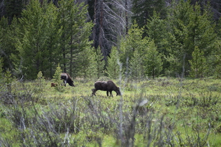 Filename=DSC_6297.JPG
Filesize=22230KiB
Dimensions=7360x4912
Date added=Sep 19, 2019 DSC_6297.JPG