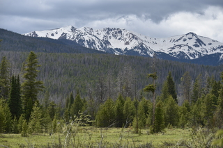 Filename=DSC_6298.JPG
Filesize=21861KiB
Dimensions=7360x4912
Date added=Sep 19, 2019 DSC_6298.JPG