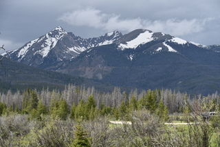 Filename=DSC_6299.JPG
Filesize=22105KiB
Dimensions=7360x4912
Date added=Sep 19, 2019 DSC_6299.JPG