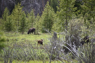 Filename=DSC_6301.JPG
Filesize=22074KiB
Dimensions=7360x4912
Date added=Sep 19, 2019 DSC_6301.JPG