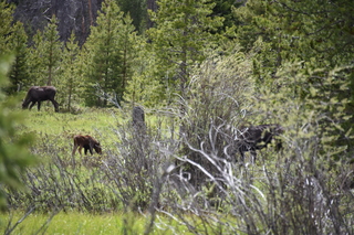 Filename=DSC_6303.JPG
Filesize=21504KiB
Dimensions=7360x4912
Date added=Sep 19, 2019 DSC_6303.JPG