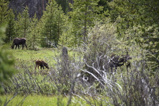 Filename=DSC_6304.JPG
Filesize=20637KiB
Dimensions=7360x4912
Date added=Sep 19, 2019 DSC_6304.JPG