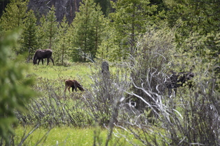 Filename=DSC_6305.JPG
Filesize=21431KiB
Dimensions=7360x4912
Date added=Sep 19, 2019 DSC_6305.JPG