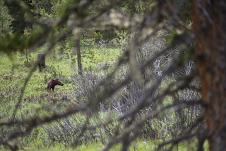 Filename=DSC_6307.JPG
Filesize=19354KiB
Dimensions=7360x4912
Date added=Sep 19, 2019 DSC_6307.JPG