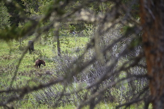 Filename=DSC_6308.JPG
Filesize=19757KiB
Dimensions=7360x4912
Date added=Sep 19, 2019 DSC_6308.JPG