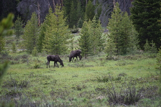 Filename=DSC_6309.JPG
Filesize=20266KiB
Dimensions=7360x4912
Date added=Sep 19, 2019 DSC_6309.JPG