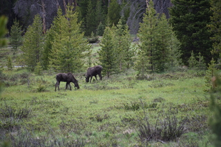 Filename=DSC_6310.JPG
Filesize=20994KiB
Dimensions=7360x4912
Date added=Sep 19, 2019 DSC_6310.JPG