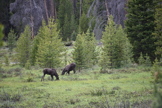 Filename=DSC_6311.JPG
Filesize=21357KiB
Dimensions=7360x4912
Date added=Sep 19, 2019 DSC_6311.JPG