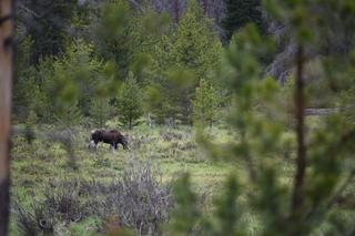 Filename=DSC_6313.JPG
Filesize=18838KiB
Dimensions=7360x4912
Date added=Sep 19, 2019 DSC_6313.JPG