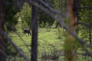 Filename=DSC_6314.JPG
Filesize=18952KiB
Dimensions=7360x4912
Date added=Sep 19, 2019 DSC_6314.JPG