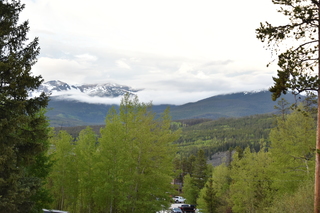 Filename=DSC_6318.JPG
Filesize=18047KiB
Dimensions=7360x4912
Date added=Sep 19, 2019 DSC_6318.JPG