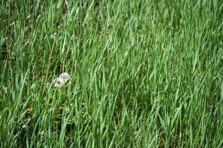 Filename=DSC_6321.JPG
Filesize=21375KiB
Dimensions=7360x4912
Date added=Sep 19, 2019 DSC_6321.JPG