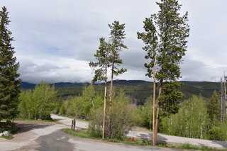 Filename=DSC_6322.JPG
Filesize=22553KiB
Dimensions=7360x4912
Date added=Sep 19, 2019 DSC_6322.JPG