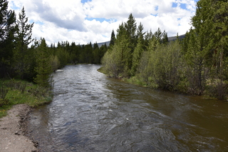 Filename=DSC_6334.JPG
Filesize=23138KiB
Dimensions=7360x4912
Date added=Sep 19, 2019 DSC_6334.JPG