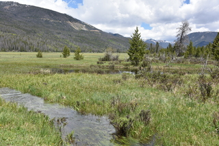 Filename=DSC_6341.JPG
Filesize=26424KiB
Dimensions=7360x4912
Date added=Sep 19, 2019 DSC_6341.JPG