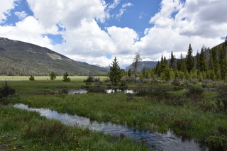 Filename=DSC_6342.JPG
Filesize=21358KiB
Dimensions=7360x4912
Date added=Sep 19, 2019 DSC_6342.JPG