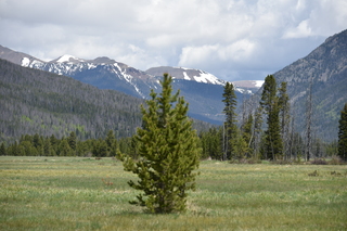 Filename=DSC_6344.JPG
Filesize=18891KiB
Dimensions=7360x4912
Date added=Sep 19, 2019 DSC_6344.JPG