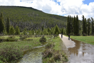 Filename=DSC_6345.JPG
Filesize=25313KiB
Dimensions=7360x4912
Date added=Sep 19, 2019 DSC_6345.JPG