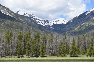 Filename=DSC_6347.JPG
Filesize=23122KiB
Dimensions=7360x4912
Date added=Sep 19, 2019 DSC_6347.JPG