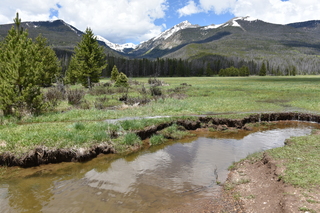 Filename=DSC_6351.JPG
Filesize=24839KiB
Dimensions=7360x4912
Date added=Sep 19, 2019 DSC_6351.JPG