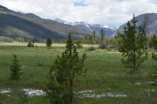 Filename=DSC_6352.JPG
Filesize=20620KiB
Dimensions=7360x4912
Date added=Sep 19, 2019 DSC_6352.JPG