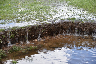 Filename=DSC_6358.JPG
Filesize=22273KiB
Dimensions=7360x4912
Date added=Sep 19, 2019 DSC_6358.JPG